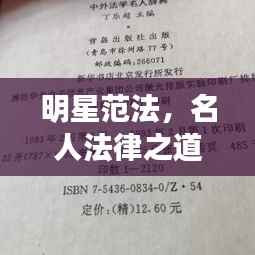 明星范法,名人法律之道与公众责任解读