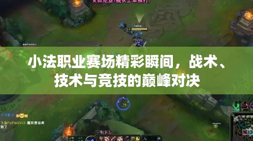 小法职业赛场精彩瞬间,战术、技术与竞技的巅峰对决