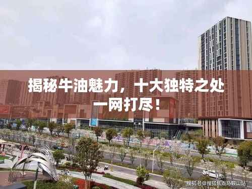 揭秘牛油魅力,十大独特之处一网打尽!