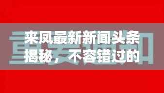 笼中之鸟 第3页