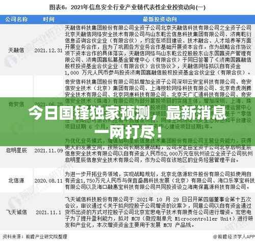 今日国锋独家预测,最新消息一网打尽!