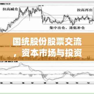 国统股份股票交流，资本市场与投资者的沟通桥梁