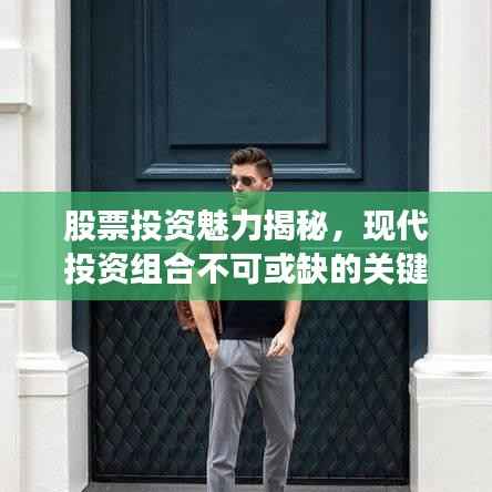 股票投资魅力揭秘,现代投资组合不可或缺的关键要素