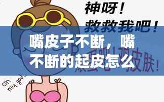 嘴皮子不断,嘴不断的起皮怎么回事