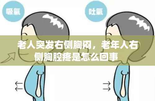 雍容典雅