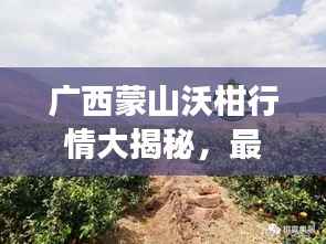 百不获一 第3页