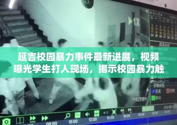 优秀课例 第214页