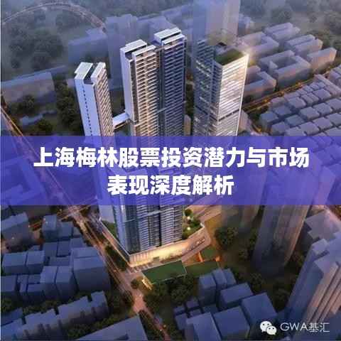 上海梅林股票投资潜力与市场表现深度解析