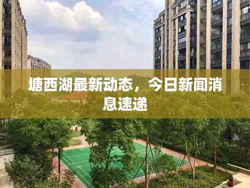 塘西湖最新动态，今日新闻消息速递