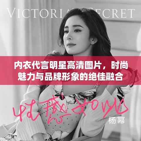 内衣代言明星高清图片,时尚魅力与品牌形象的绝佳融合