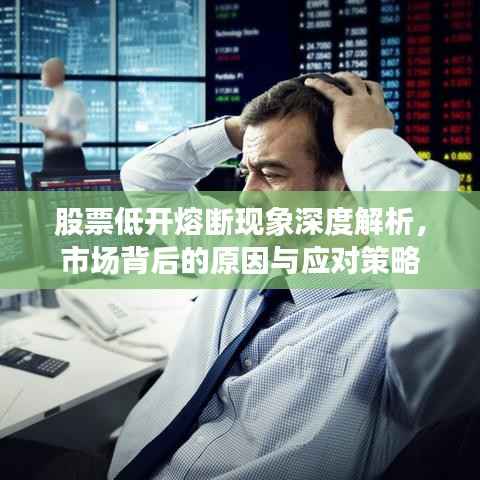 股票低开熔断现象深度解析,市场背后的原因与应对策略