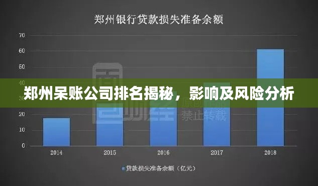 郑州呆账公司排名揭秘,影响及风险分析