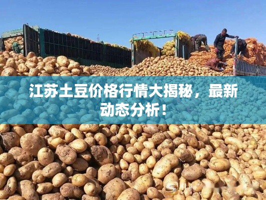 百年不遇