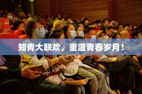 知青大联欢,重温青春岁月!