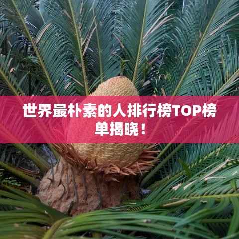 世界最朴素的人排行榜TOP榜单揭晓!