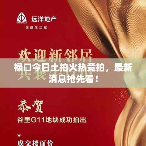 禄口今日土拍火热竞拍,最新消息抢先看!