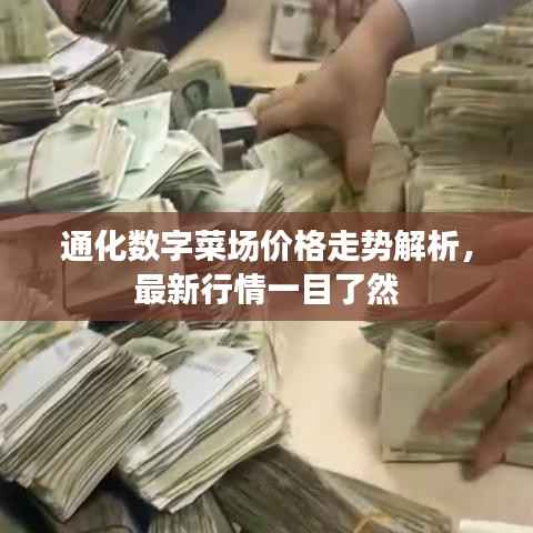 通化数字菜场价格走势解析,最新行情一目了然