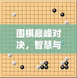 围棋巅峰对决,智慧与策略的一次性精彩较量