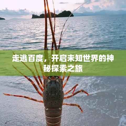 走逃百度,开启未知世界的神秘探索之旅