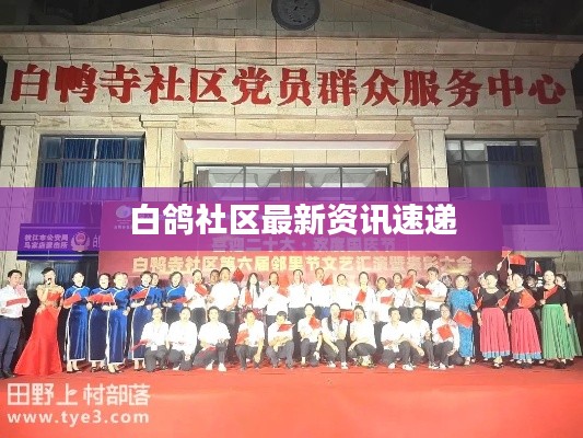 白鸽社区最新资讯速递