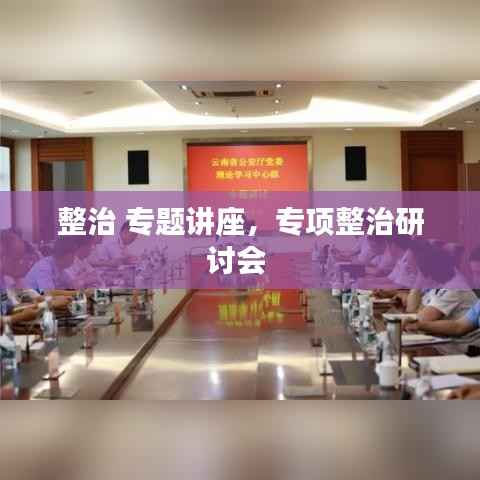 整治 专题讲座,专项整治研讨会