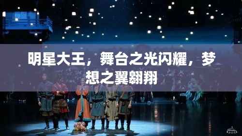 明星大王,舞台之光闪耀,梦想之翼翱翔