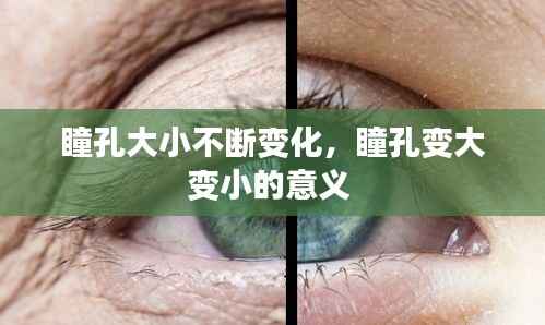 瞳孔大小不断变化,瞳孔变大变小的意义