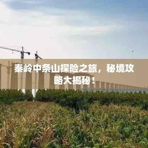 秦岭中条山探险之旅，秘境攻略大揭秘！