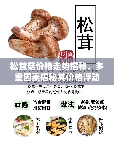 松茸菇价格走势揭秘，多重因素揭秘其价格浮动！