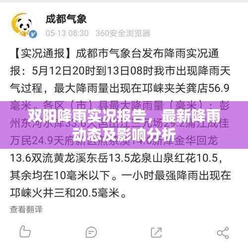 双阳降雨实况报告,最新降雨动态及影响分析