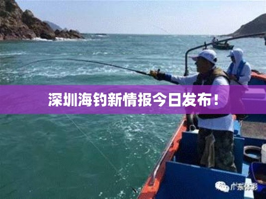 深圳海钓新情报今日发布!
