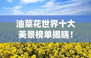 油菜花世界十大美景榜单揭晓！
