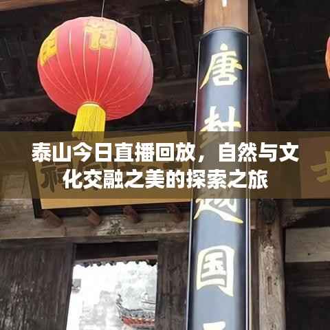 泰山今日直播回放,自然与文化交融之美的探索之旅