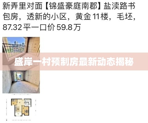 盛岸一村预制房最新动态揭秘